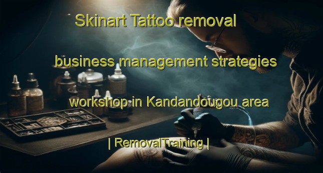 Skinart Tattoo removal business management strategies workshop in Kandandougou area | RemovalTraining | RemovalClasses | SkinartTraining-Côte d Ivoire